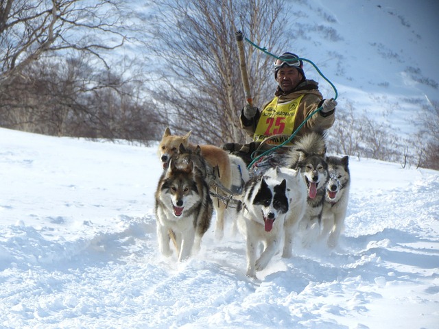 第十一届全国大众冰雪季（四川分会场）启动.