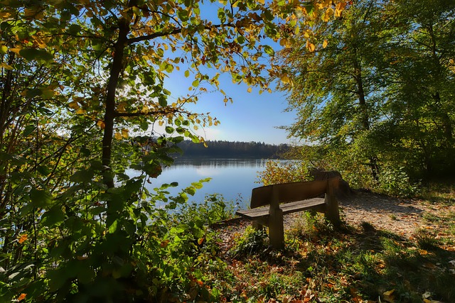 身价与表现 身价与表现