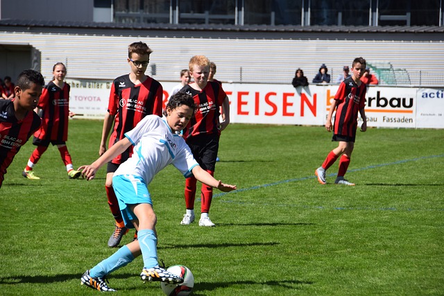 未来享受到 未来享受到